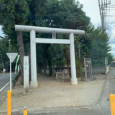 実際訪問したユーザーが直接撮影して投稿した浅羽野自然名所土屋神社 神木スギの写真