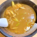 冷やしカレーうどん - 実際訪問したユーザーが直接撮影して投稿した東栄町うどん若旦那21の写真のメニュー情報