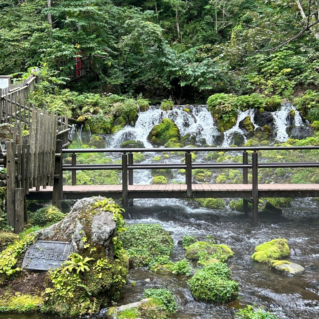 実際訪問したユーザーが直接撮影して投稿した川西公園ふきだし公園の写真