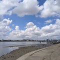 実際訪問したユーザーが直接撮影して投稿した河川多摩川の写真