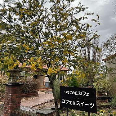 実際訪問したユーザーが直接撮影して投稿した豊丘いちご狩りいちごの丘の写真