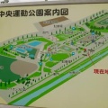 実際訪問したユーザーが直接撮影して投稿した平沢公園中央運動公園 プールの写真