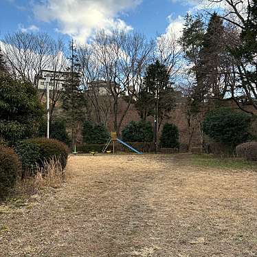 実際訪問したユーザーが直接撮影して投稿した桜ケ丘公園青葉台公園の写真