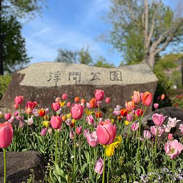 浮間公園のundefinedに実際訪問訪問したユーザーunknownさんが新しく投稿した新着口コミの写真