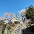 実際訪問したユーザーが直接撮影して投稿した千手町公園千手山公園の写真