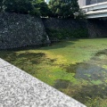 実際訪問したユーザーが直接撮影して投稿した北の丸公園橋竹橋の写真