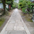 実際訪問したユーザーが直接撮影して投稿した桜井町神社首途八幡宮の写真