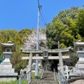 実際訪問したユーザーが直接撮影して投稿した大町西神社河内神社の写真