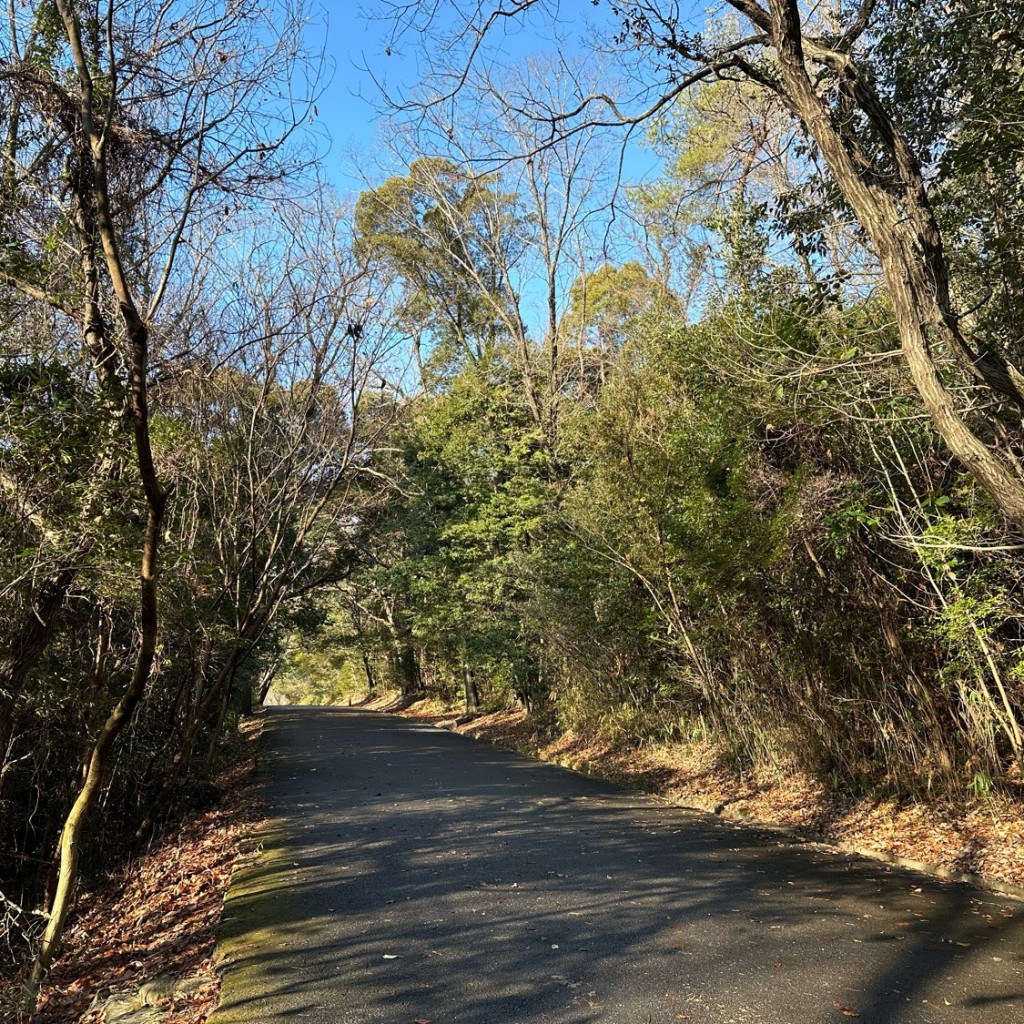 実際訪問したユーザーが直接撮影して投稿した川公園第6号小幡緑地の写真