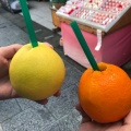 実際訪問したユーザーが直接撮影して投稿したヴィソンジュースバーOrange paradiseの写真