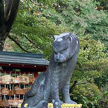 実際訪問したユーザーが直接撮影して投稿した中富寺多聞院の写真