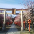 実際訪問したユーザーが直接撮影して投稿した天神町神社朝日森天満宮の写真