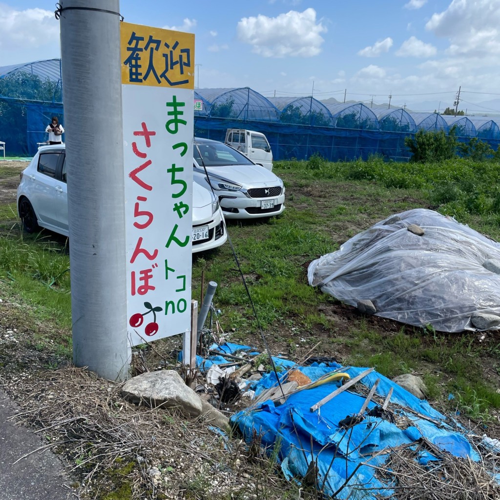 実際訪問したユーザーが直接撮影して投稿した山之上さくらんぼ狩りまっちゃんトコnoさくらんぼの写真