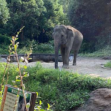 実際訪問したユーザーが直接撮影して投稿した上白根町動物園よこはま動物園ズーラシアの写真