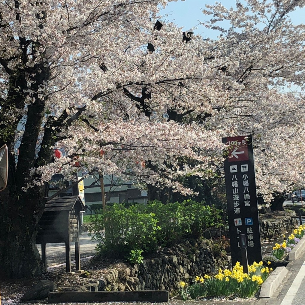 実際訪問したユーザーが直接撮影して投稿した小幡花のきれいなスポット小幡城下町の写真