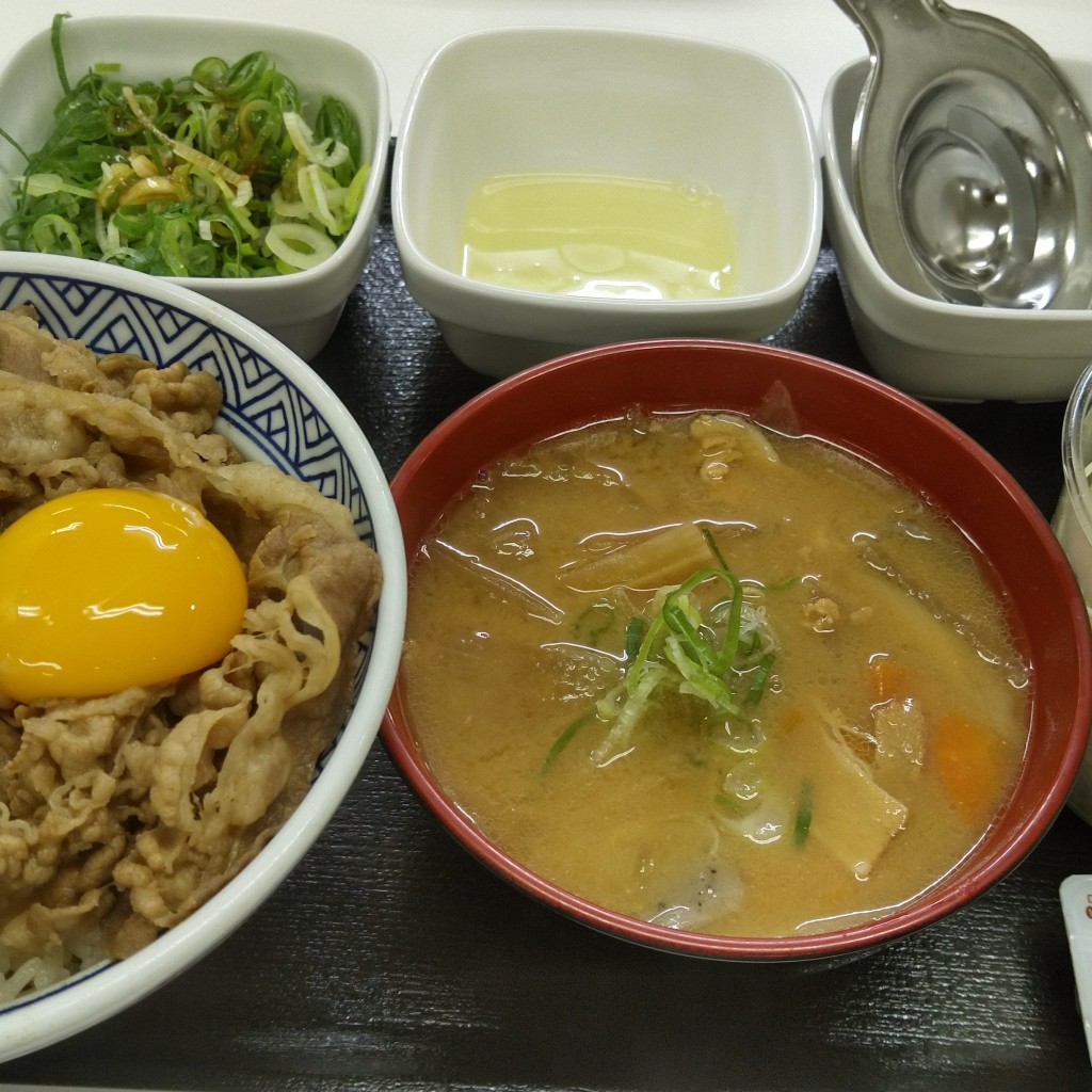 ユーザーが投稿したねぎ玉牛丼Aセット(サラダ+みそ汁、豚汁)の写真 - 実際訪問したユーザーが直接撮影して投稿した花田町牛丼吉野家 23号線花田町店の写真