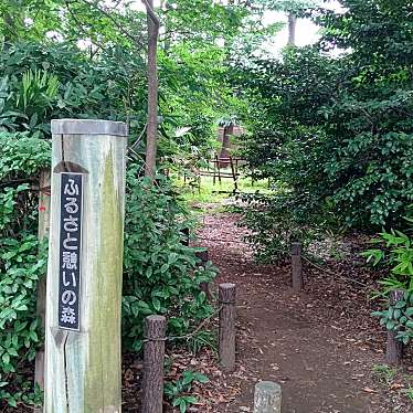 実際訪問したユーザーが直接撮影して投稿した石神井台公園ふるさと憩いの森の写真