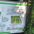 実際訪問したユーザーが直接撮影して投稿した岡本公園岡本静嘉堂緑地の写真