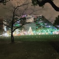 実際訪問したユーザーが直接撮影して投稿した天神公園福岡県営 天神中央公園の写真