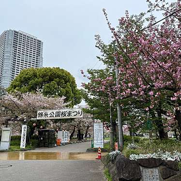 錦糸公園の河津桜のundefinedに実際訪問訪問したユーザーunknownさんが新しく投稿した新着口コミの写真