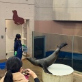 実際訪問したユーザーが直接撮影して投稿した戸賀塩浜水族館 / アクアリウム男鹿水族館GAOの写真