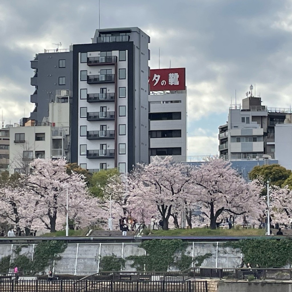 実際訪問したユーザーが直接撮影して投稿した浅草公園台東区立隅田公園 桜の広場の写真