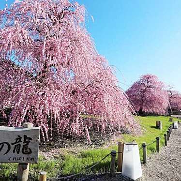 鈴鹿の森庭園のundefinedに実際訪問訪問したユーザーunknownさんが新しく投稿した新着口コミの写真