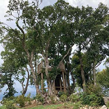 実際訪問したユーザーが直接撮影して投稿した五台山植物園 / 樹木園高知県立牧野植物園の写真