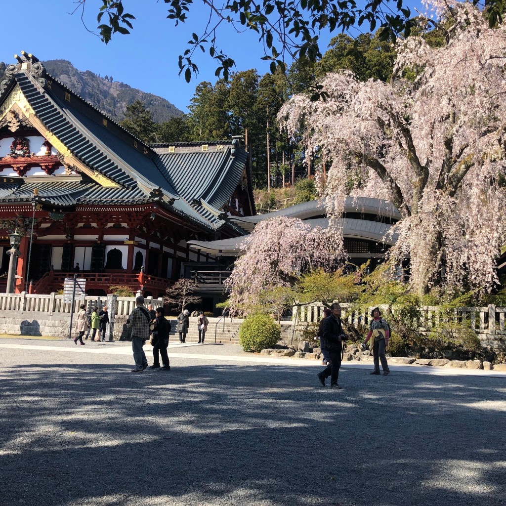 実際訪問したユーザーが直接撮影して投稿した身延山 / 峠身延山の写真