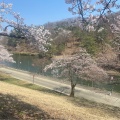 実際訪問したユーザーが直接撮影して投稿した御山町公園悠久山公園の写真