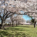 実際訪問したユーザーが直接撮影して投稿した高州公園みさと公園の写真