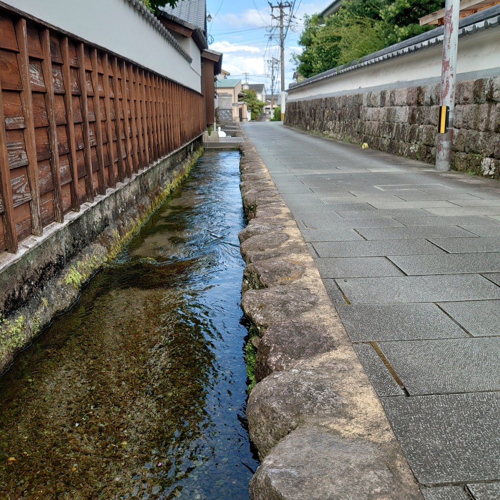 実際訪問したユーザーが直接撮影して投稿した新町町並み鯉の泳ぐまちの写真