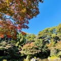 実際訪問したユーザーが直接撮影して投稿した老松町公園野毛山公園の写真