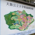 実際訪問したユーザーが直接撮影して投稿した私市植物園 / 樹木園大阪市立大学理学部附属植物園の写真