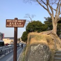 実際訪問したユーザーが直接撮影して投稿した松島景勝地 / 百選松島の写真