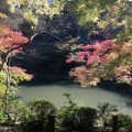 実際訪問したユーザーが直接撮影して投稿した成田公園成田山公園の写真