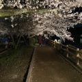 実際訪問したユーザーが直接撮影して投稿した天神神社長岡天満宮の写真