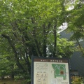 実際訪問したユーザーが直接撮影して投稿した石神井町公園池淵史跡公園の写真