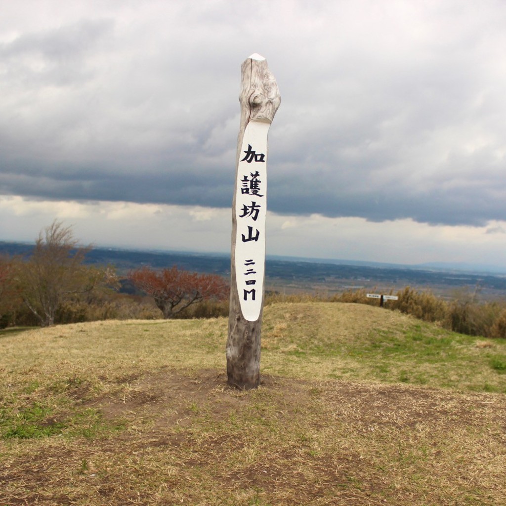 実際訪問したユーザーが直接撮影して投稿した田尻大沢山 / 峠加護坊山の写真