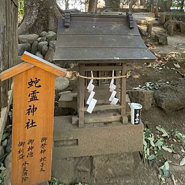 実際訪問したユーザーが直接撮影して投稿した宮下町神社蛇霊神社の写真
