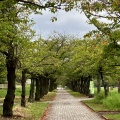 実際訪問したユーザーが直接撮影して投稿した公園宝野公園の写真