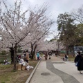 実際訪問したユーザーが直接撮影して投稿した中島町公園平和記念公園の写真