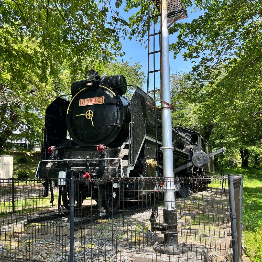 実際訪問したユーザーが直接撮影して投稿した中央公園伊那公園の写真