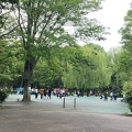実際訪問したユーザーが直接撮影して投稿した大久保公園戸山公園 やくどうの広場の写真