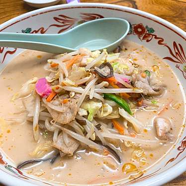 実際訪問したユーザーが直接撮影して投稿した千ヶ瀬町ラーメン / つけ麺大龍軒 千ヶ瀬本店の写真