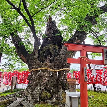 龍神木 秩父今宮神社のundefinedに実際訪問訪問したユーザーunknownさんが新しく投稿した新着口コミの写真