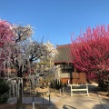 実際訪問したユーザーが直接撮影して投稿した藤方神社結城神社の写真