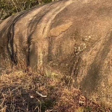 実際訪問したユーザーが直接撮影して投稿した大井町岩千畳岩の写真