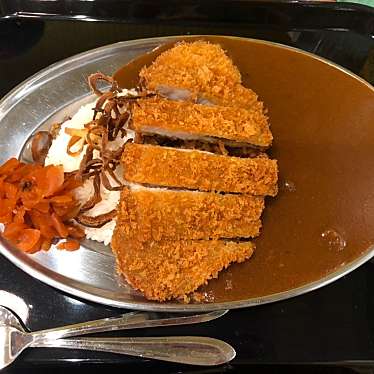 実際訪問したユーザーが直接撮影して投稿した江越カレーカツカレーの虎の写真