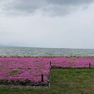 大津湖岸なぎさ公園のundefinedに実際訪問訪問したユーザーunknownさんが新しく投稿した新着口コミの写真